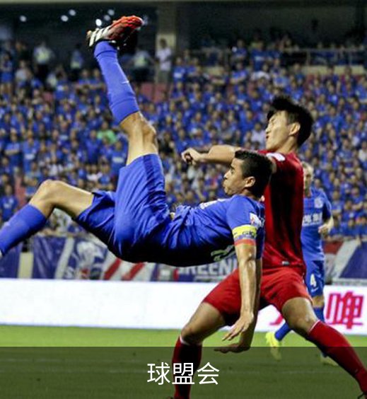 球盟会介绍